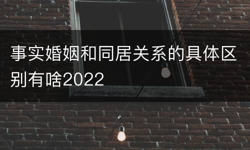 事实婚姻和同居关系的具体区别有啥2022