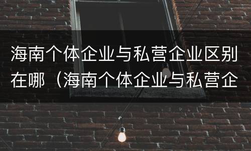 海南个体企业与私营企业区别在哪（海南个体企业与私营企业区别在哪里）