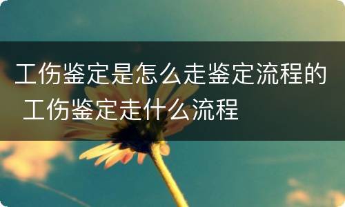 工伤鉴定是怎么走鉴定流程的 工伤鉴定走什么流程