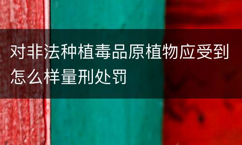 对非法种植毒品原植物应受到怎么样量刑处罚
