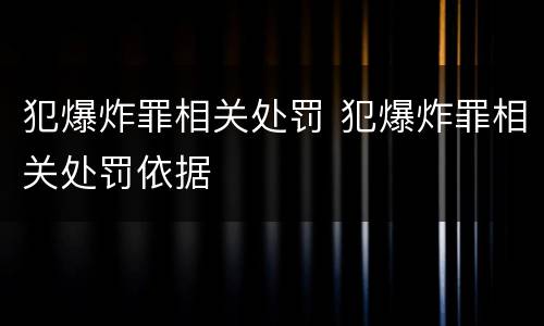 犯爆炸罪相关处罚 犯爆炸罪相关处罚依据