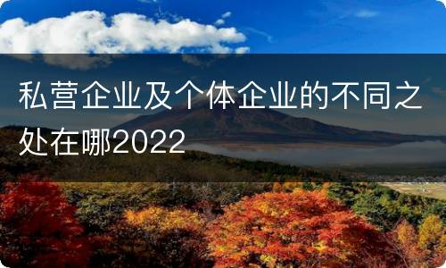 私营企业及个体企业的不同之处在哪2022