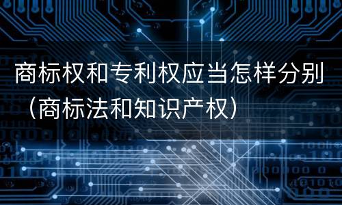 商标权和专利权应当怎样分别（商标法和知识产权）