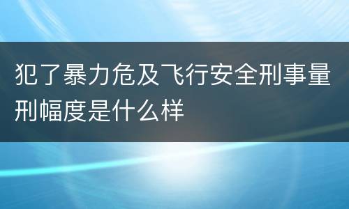 犯了暴力危及飞行安全刑事量刑幅度是什么样