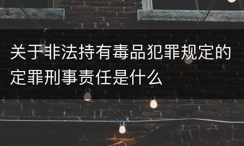 关于非法持有毒品犯罪规定的定罪刑事责任是什么