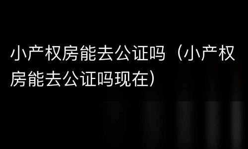小产权房能去公证吗（小产权房能去公证吗现在）