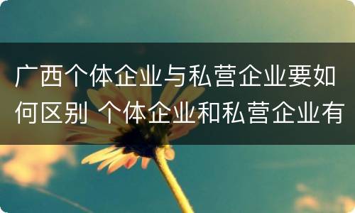 广西个体企业与私营企业要如何区别 个体企业和私营企业有什么区别