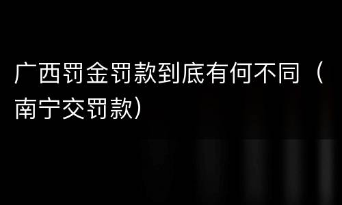 广西罚金罚款到底有何不同（南宁交罚款）