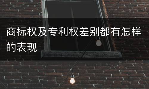 商标权及专利权差别都有怎样的表现