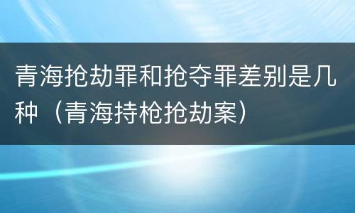 青海抢劫罪和抢夺罪差别是几种（青海持枪抢劫案）