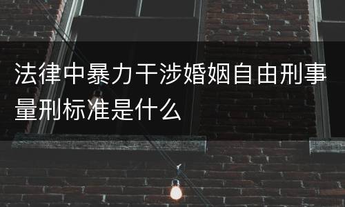 法律中暴力干涉婚姻自由刑事量刑标准是什么