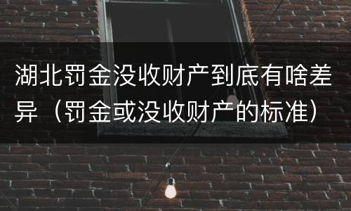 湖北罚金没收财产到底有啥差异（罚金或没收财产的标准）
