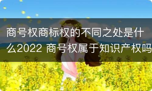 商号权商标权的不同之处是什么2022 商号权属于知识产权吗