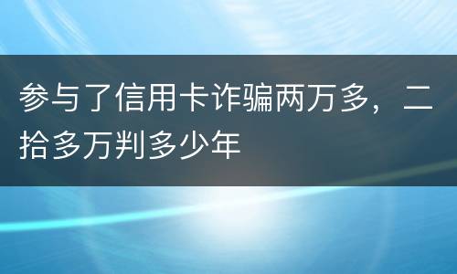 参与了信用卡诈骗两万多，二拾多万判多少年