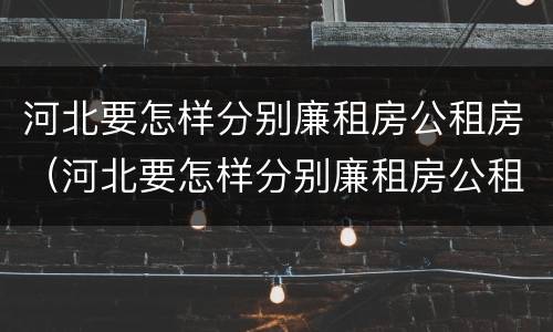 河北要怎样分别廉租房公租房（河北要怎样分别廉租房公租房呢）