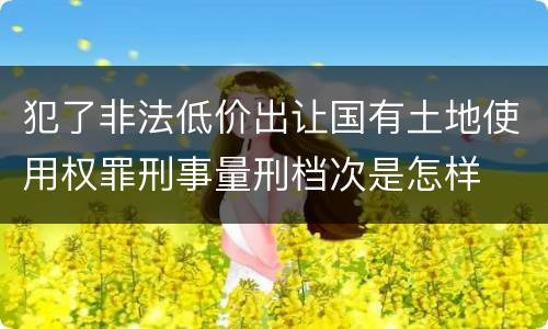 犯了非法低价出让国有土地使用权罪刑事量刑档次是怎样