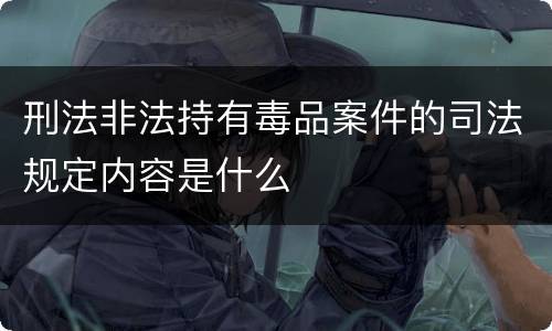 刑法非法持有毒品案件的司法规定内容是什么