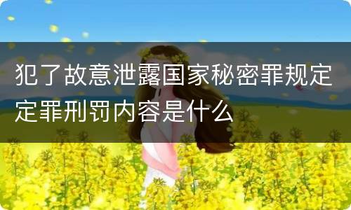 犯了故意泄露国家秘密罪规定定罪刑罚内容是什么