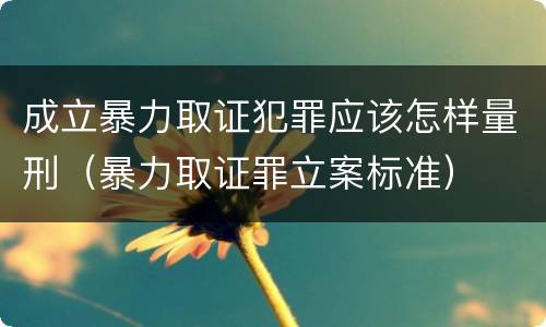 成立暴力取证犯罪应该怎样量刑（暴力取证罪立案标准）
