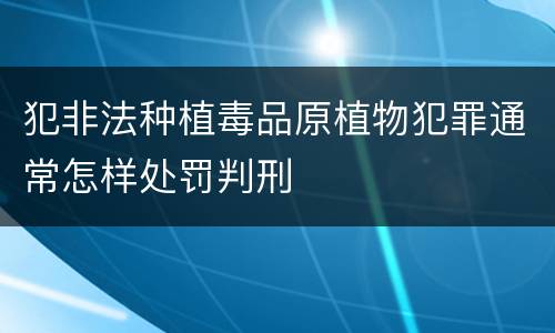 犯非法种植毒品原植物犯罪通常怎样处罚判刑