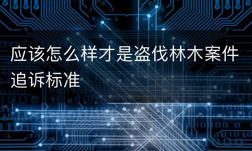 应该怎么样才是盗伐林木案件追诉标准