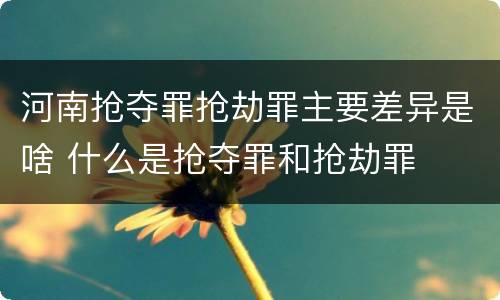 河南抢夺罪抢劫罪主要差异是啥 什么是抢夺罪和抢劫罪