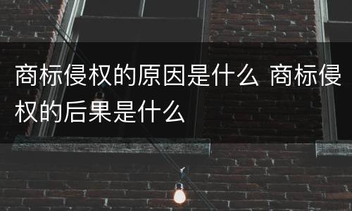 商标侵权的原因是什么 商标侵权的后果是什么
