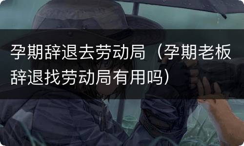 孕期辞退去劳动局（孕期老板辞退找劳动局有用吗）