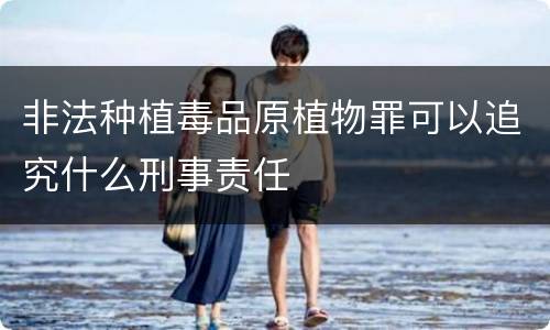 非法种植毒品原植物罪可以追究什么刑事责任