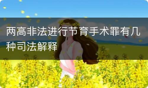 两高非法进行节育手术罪有几种司法解释