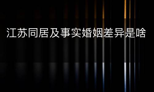 江苏同居及事实婚姻差异是啥
