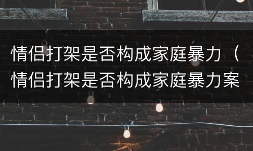 情侣打架是否构成家庭暴力（情侣打架是否构成家庭暴力案件）
