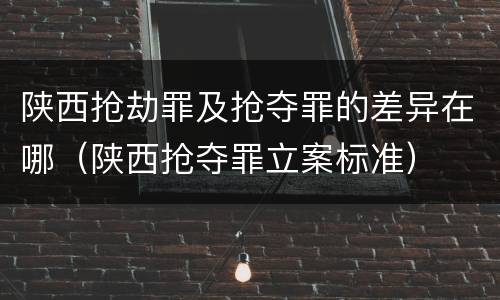 陕西抢劫罪及抢夺罪的差异在哪（陕西抢夺罪立案标准）