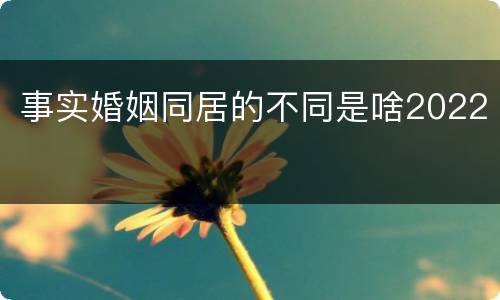 事实婚姻同居的不同是啥2022