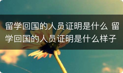 留学回国的人员证明是什么 留学回国的人员证明是什么样子的