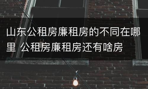 山东公租房廉租房的不同在哪里 公租房廉租房还有啥房