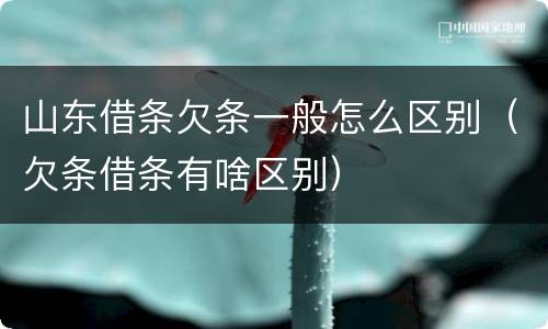 山东借条欠条一般怎么区别（欠条借条有啥区别）