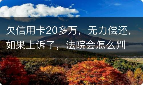 欠信用卡20多万，无力偿还，如果上诉了，法院会怎么判