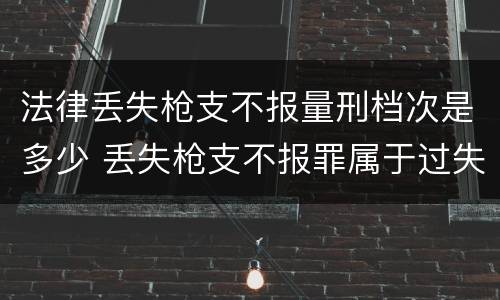 法律丢失枪支不报量刑档次是多少 丢失枪支不报罪属于过失犯罪吗