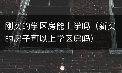 刚买的学区房能上学吗（新买的房子可以上学区房吗）