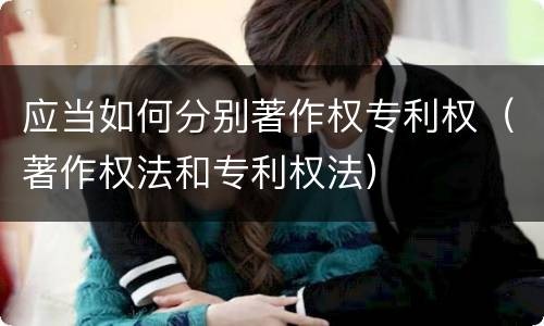 应当如何分别著作权专利权（著作权法和专利权法）
