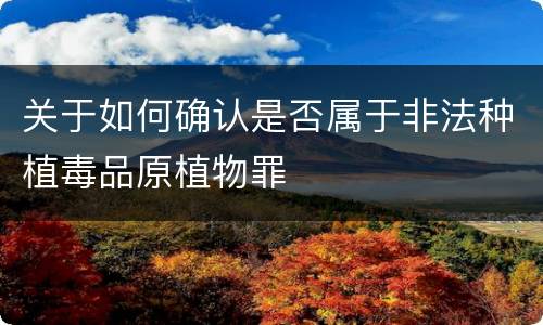 关于如何确认是否属于非法种植毒品原植物罪