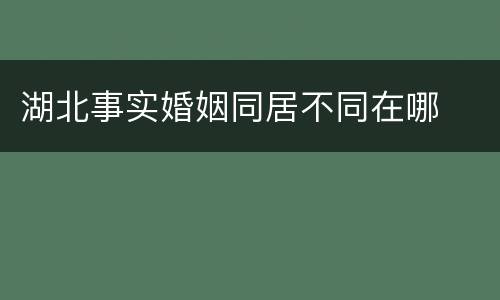 湖北事实婚姻同居不同在哪