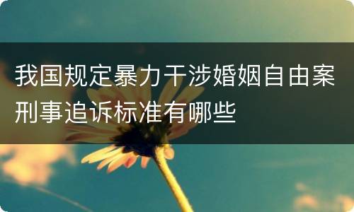 我国规定暴力干涉婚姻自由案刑事追诉标准有哪些