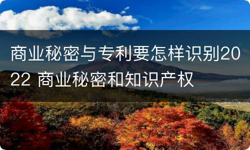 商业秘密与专利要怎样识别2022 商业秘密和知识产权