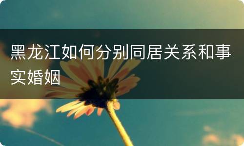 黑龙江如何分别同居关系和事实婚姻