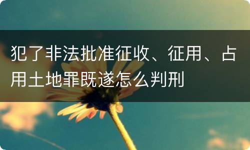 犯了非法批准征收、征用、占用土地罪既遂怎么判刑