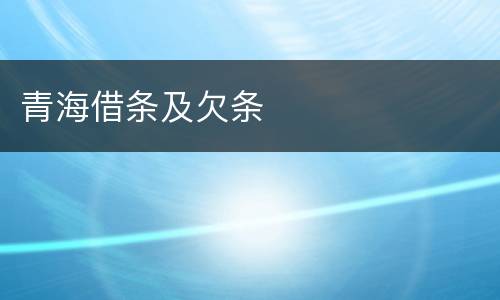 青海借条及欠条