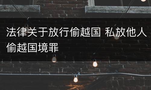 法律关于放行偷越国 私放他人偷越国境罪