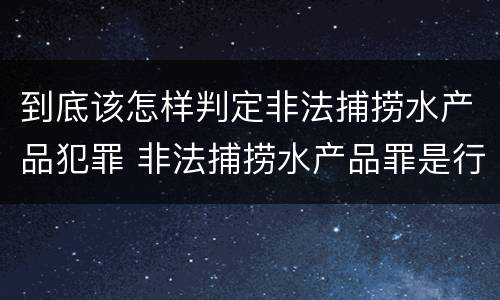 到底该怎样判定非法捕捞水产品犯罪 非法捕捞水产品罪是行为犯吗